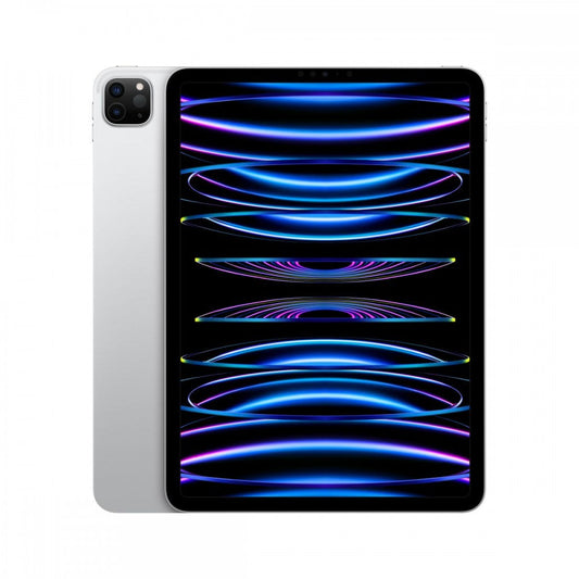 iPad Pro 11 M2 WiFi 256GB Prateado