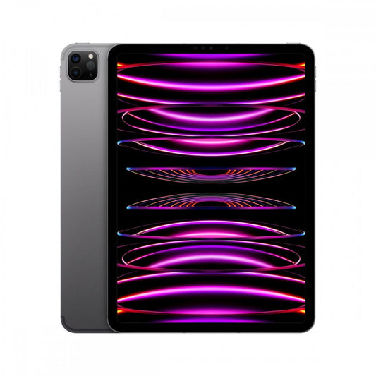 iPad Pro 11 M2 WiFi+Cell 256GB Cinzento