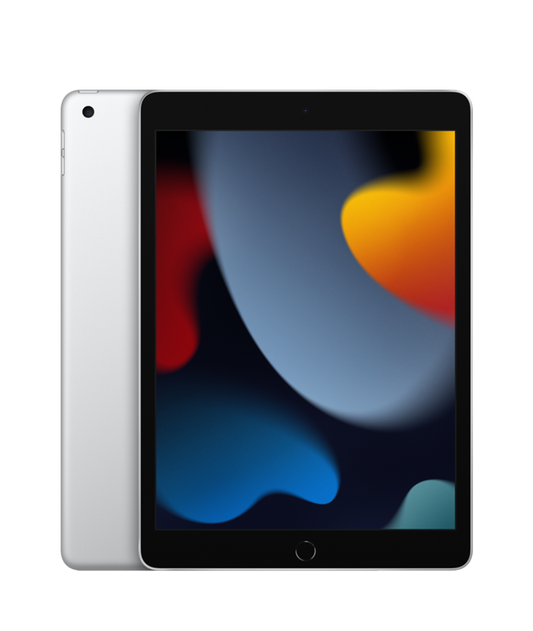 iPad 10.2 Wifi 256GB Prateado